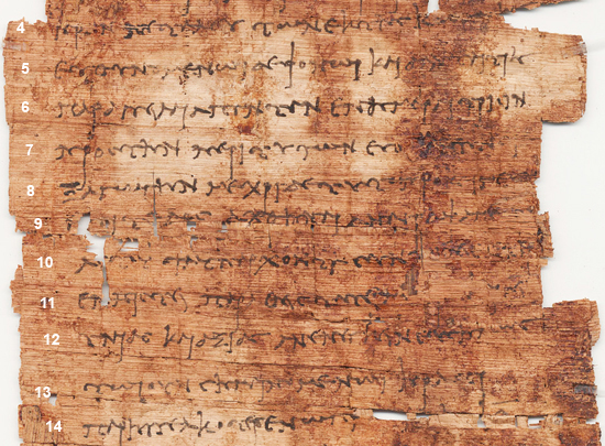 image of Tebtunis Papyri 0014