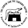 CTP logo image