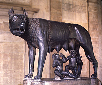 shewolf